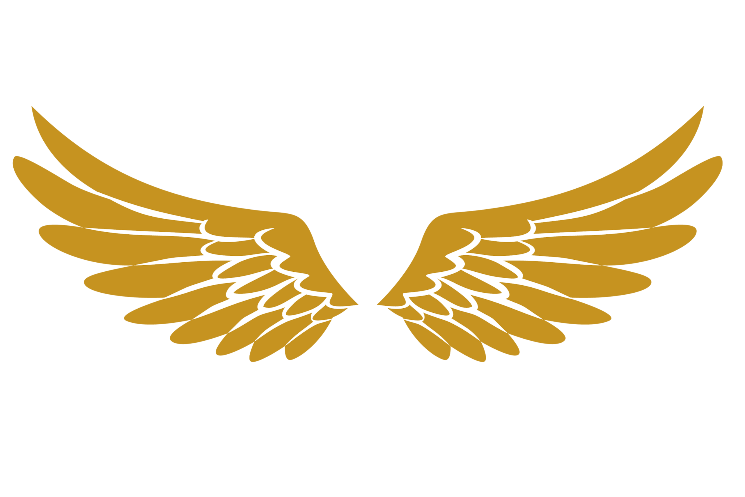 AUTO KOOROSH WING – FULL COLOUR – #C69320